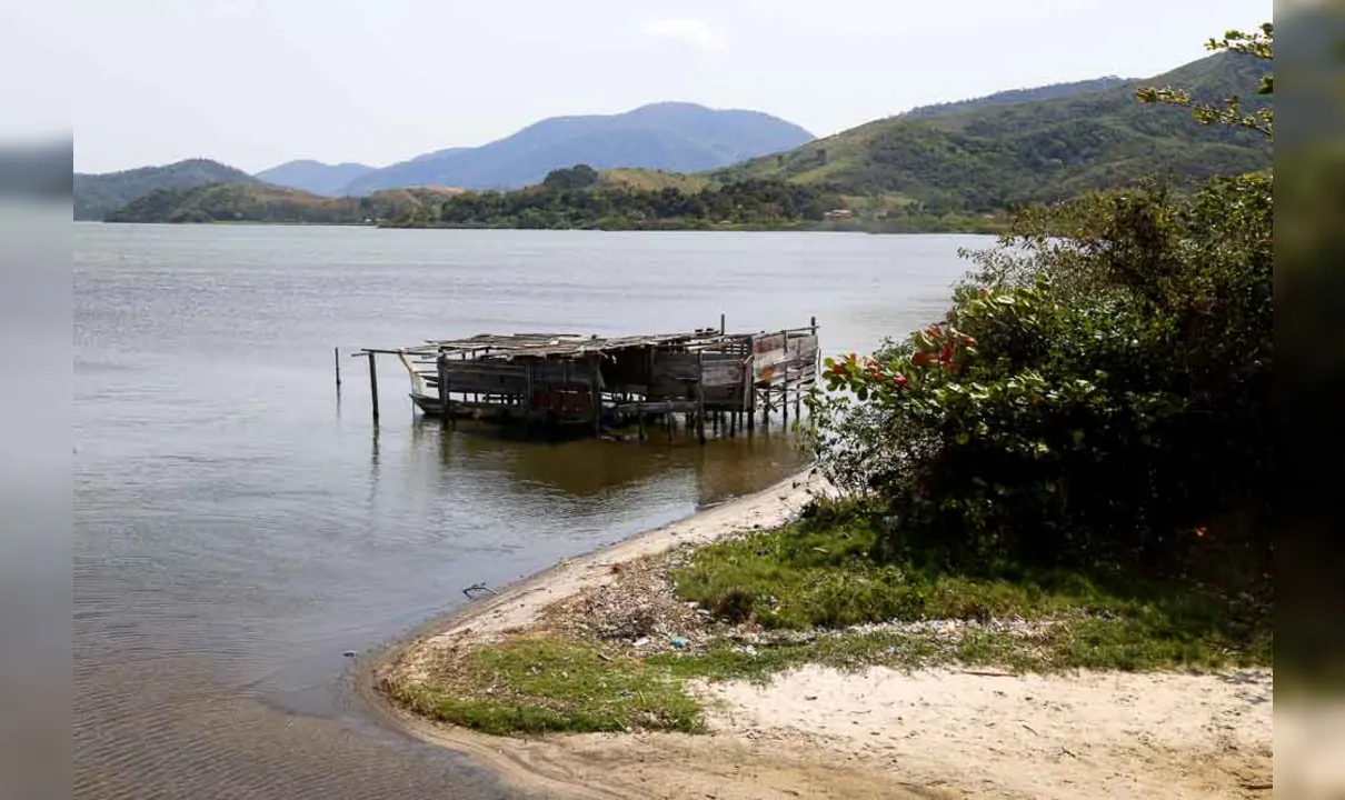 Imagem ilustrativa da imagem Mortandade de peixes em Maricá mobiliza  Instituto Estadual do Ambiente