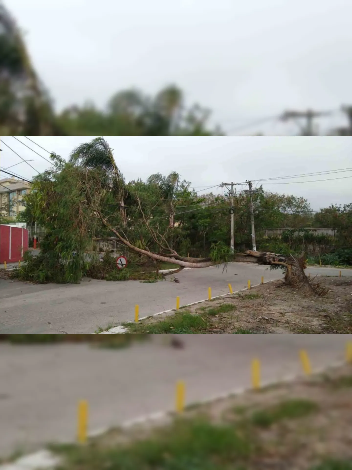 Imagem ilustrativa da imagem Caos devido à ventania: falta de energia elétrica e queda de árvores em SG e Niterói