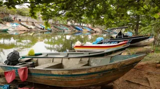 Imagem ilustrativa da imagem Mortandade de peixes em Maricá: UFF alerta para negligência do poder público