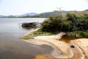 Imagem ilustrativa da imagem Mortandade de peixes dispara em Maricá e desespera comunidade pesqueira