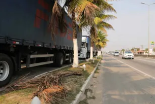 Imagem ilustrativa da imagem Caminhoneiros cessam manifestações e rodovias estão livres no Rio