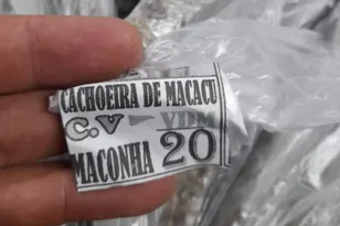 Imagem ilustrativa da imagem Tráfico tem prejuízo de R$ 16 mil em Cachoeiras de Macacu