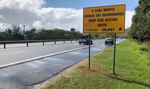 Imagem ilustrativa da imagem Placas instaladas na Via Lagos alertam para abandono de animais às margens da rodovia