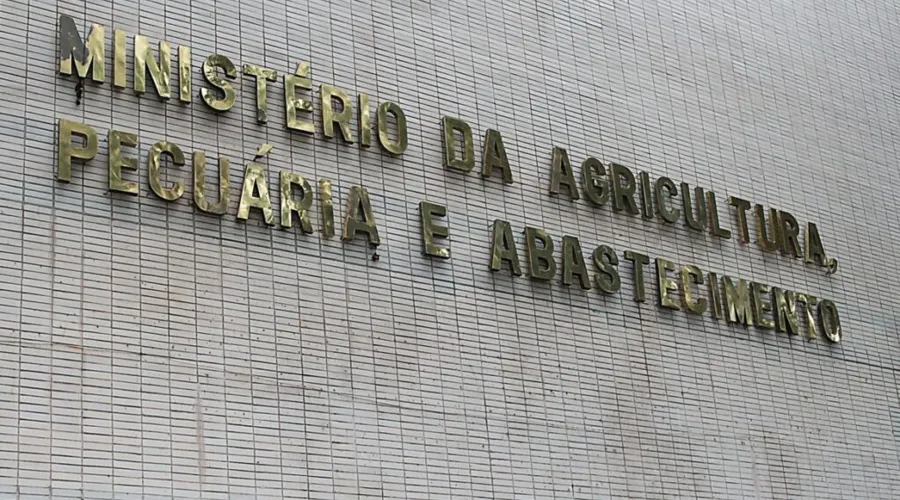 Brasília - Auditores fiscais do Ministério da Agricultura se reúnem e fazem ato público para prestar esclarecimentos à sociedade sobre a importância do trabalho de fiscalização (Wilson Dias/Agência Brasil)