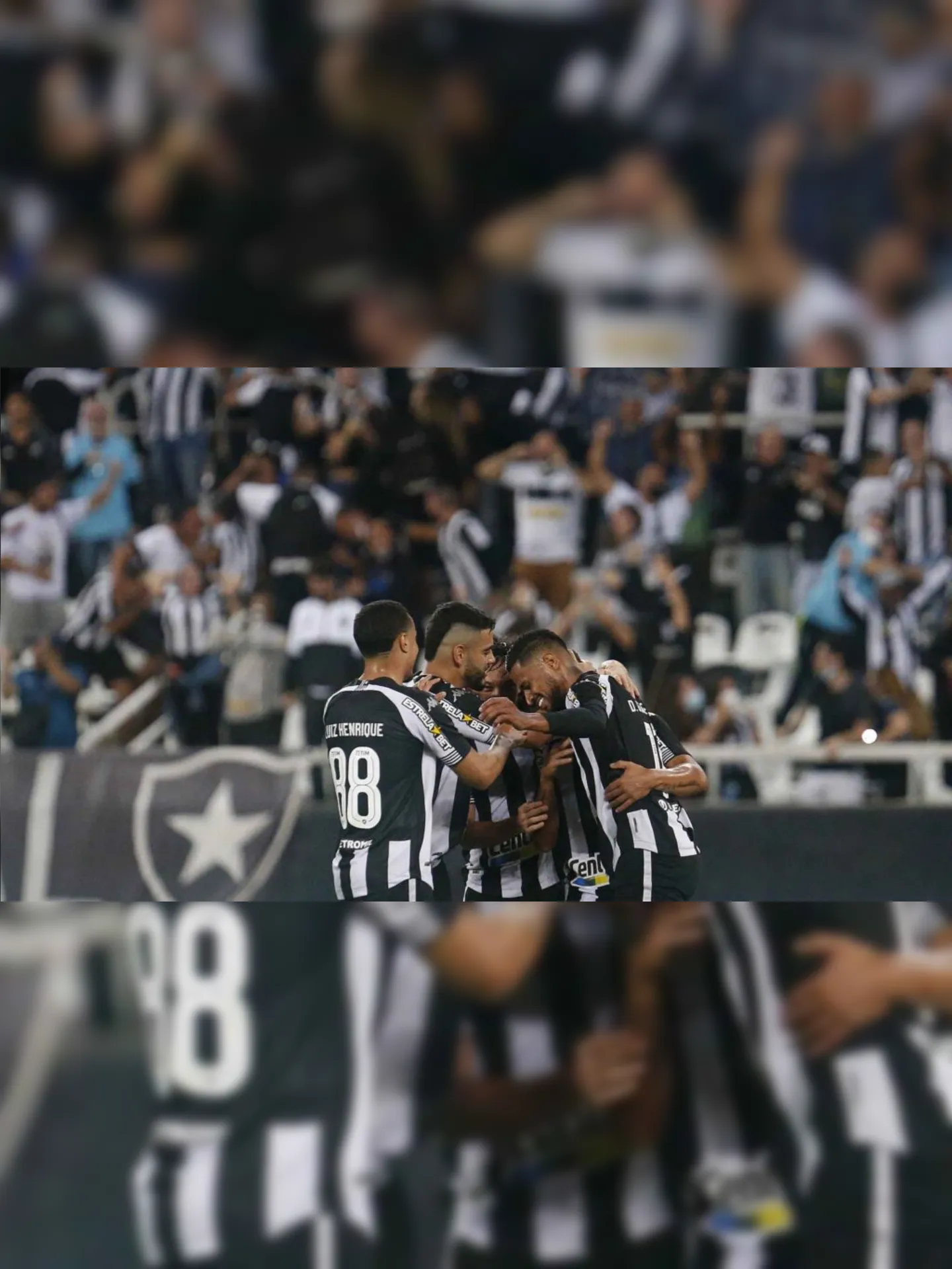Imagem ilustrativa da imagem Botafogo vence 'decisão' e recupera chances de acesso; Vasco regride