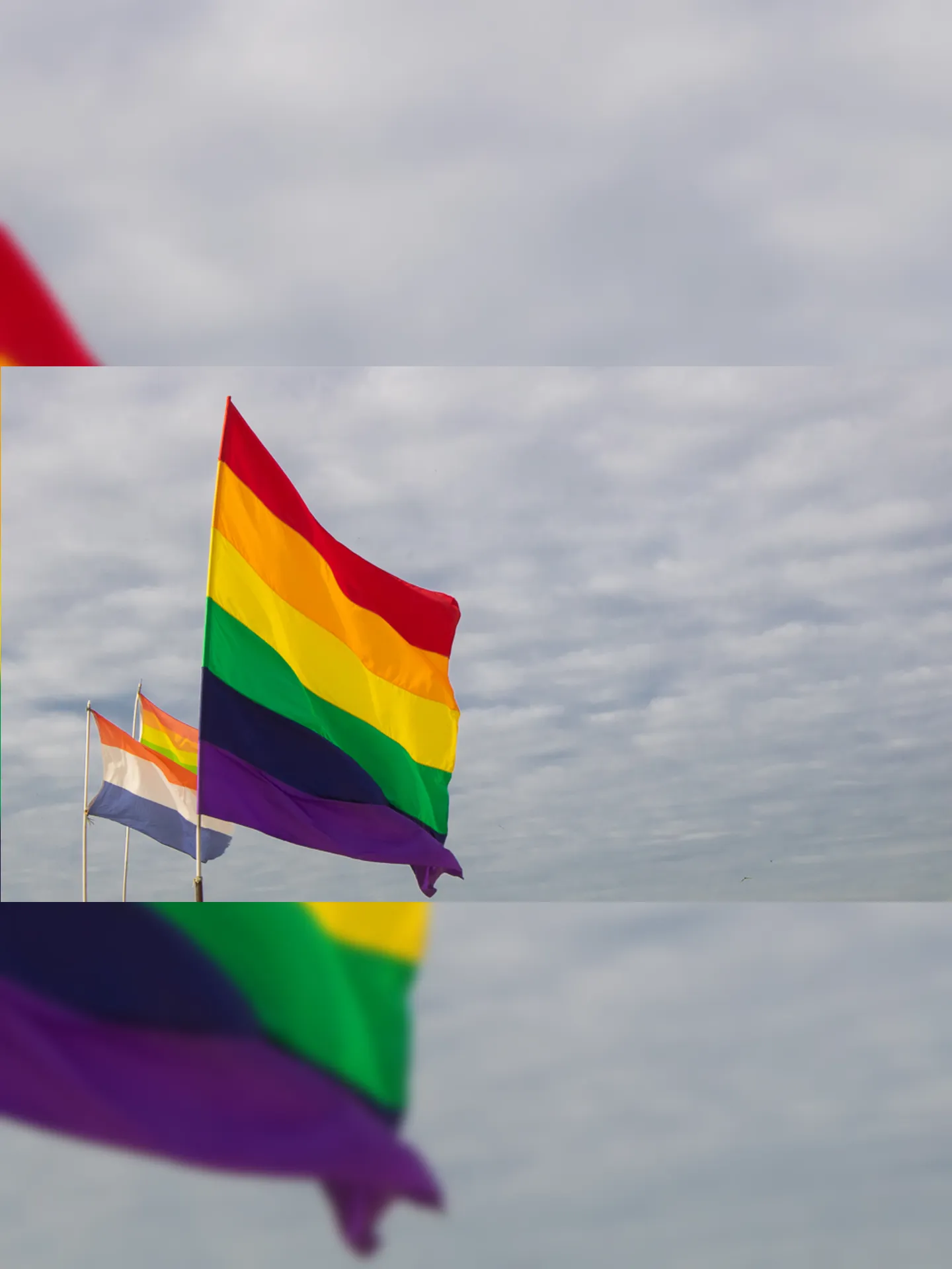 Imagem ilustrativa da imagem São Gonçalo oferece orientações para público LGBTI+