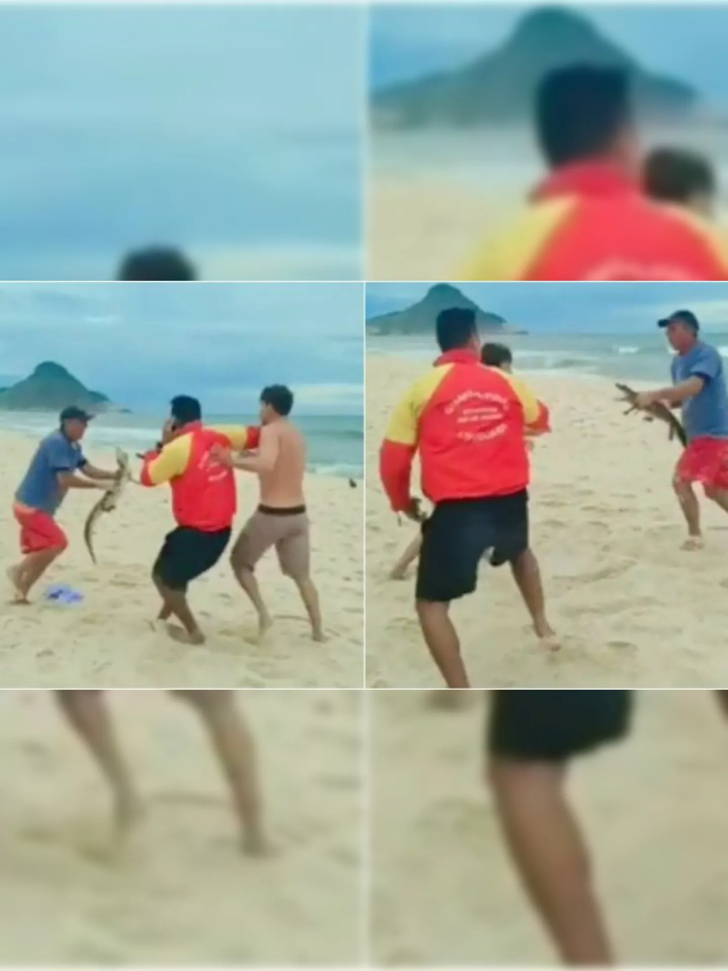 Imagem ilustrativa da imagem Ataque de jacaré: briga em praia do Rio viraliza na internet