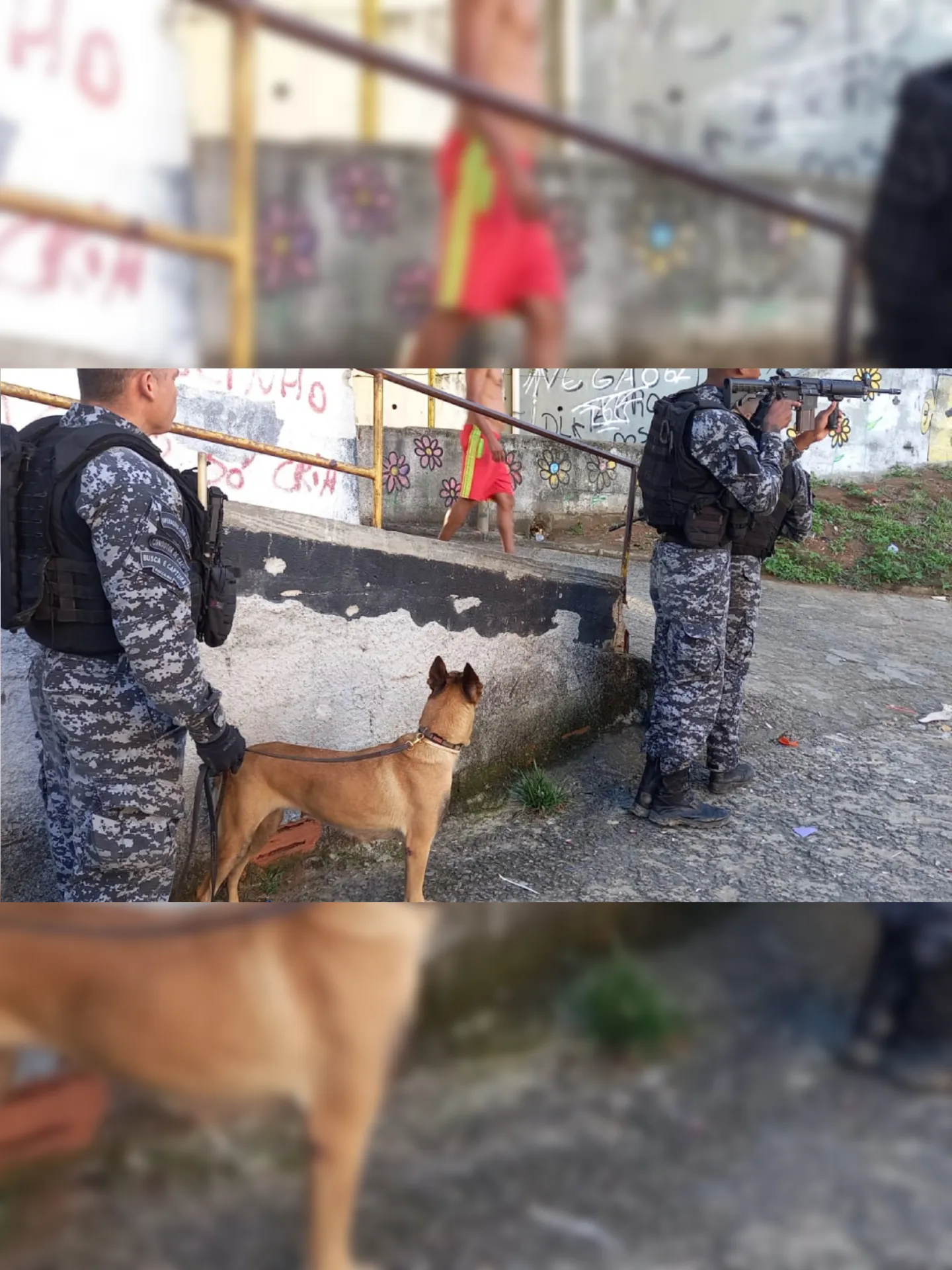 Imagem ilustrativa da imagem Polícia combate o tráfico de drogas em Água Santa no Rio