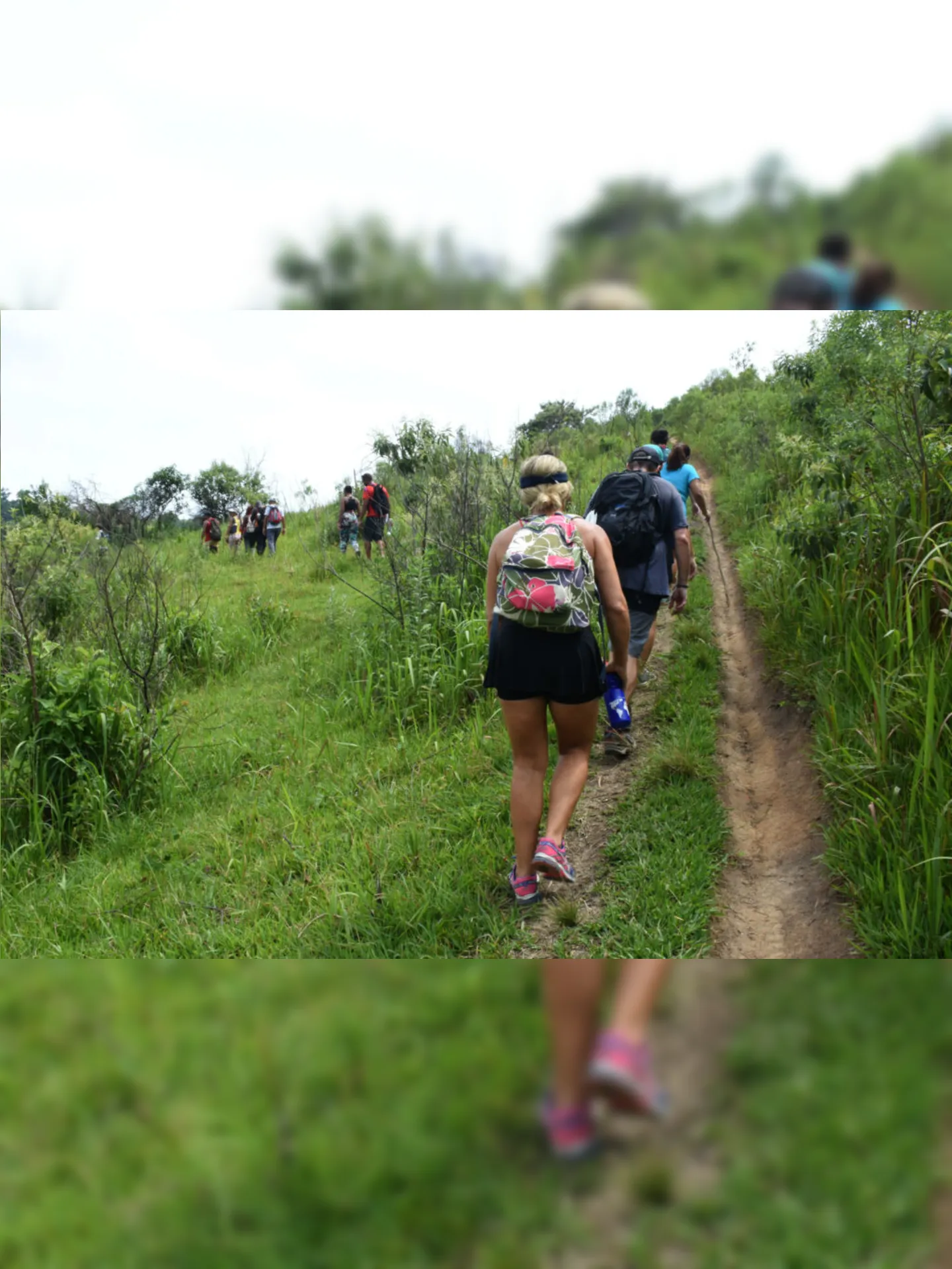 Imagem ilustrativa da imagem Sábado de trilha em Maricá, saiba como participar
