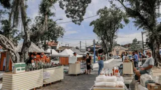 Imagem ilustrativa da imagem Itaboraí terá feira com oficina de plantio de mudas e piquenique para crianças