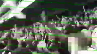 Imagem ilustrativa da imagem Torcedor do Botafogo é flagrado jogando copo de urina na arquibancada; clube se posiciona