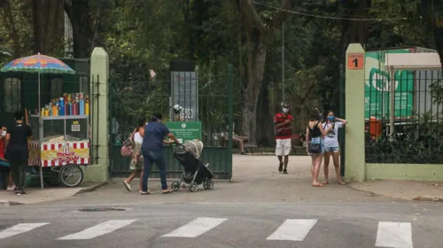 Imagem ilustrativa da imagem Campo de São Bento terá todos os portões liberados