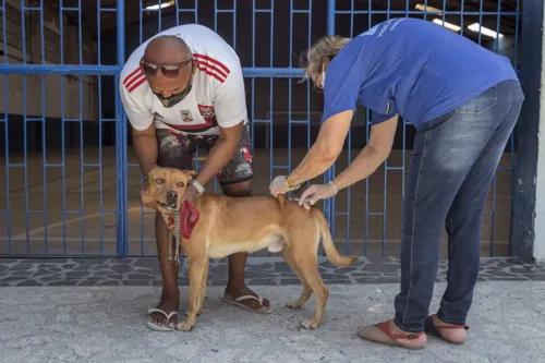 Imagem ilustrativa da imagem Campanha de Vacinação Antirrábica pretende atender 80%  dos animais de São Gonçalo