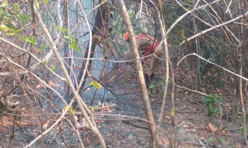 Imagem ilustrativa da imagem Polícia Civil de Goiás indicia quatro por incêndio em Chapada