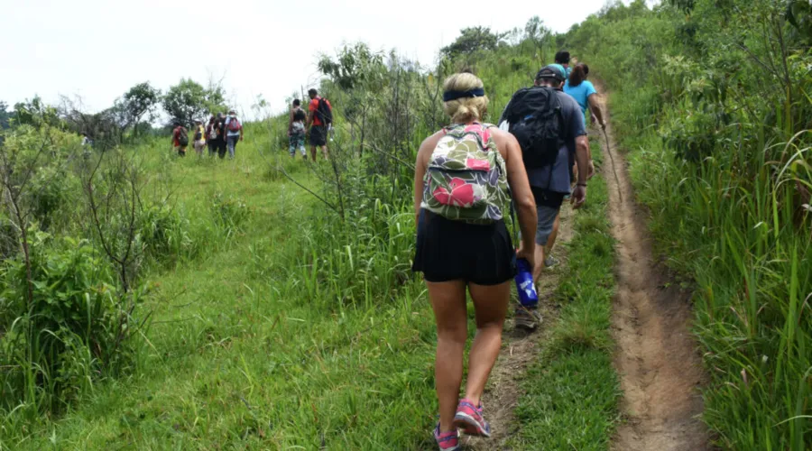 Imagem ilustrativa da imagem Sábado de trilha em Maricá, saiba como participar