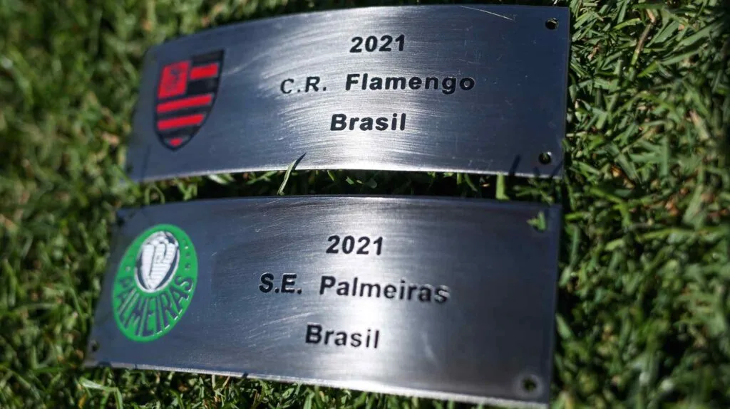 Imagem ilustrativa da imagem Flamengo e Palmeiras: quem tem mais chances de levar o título da Libertadores?