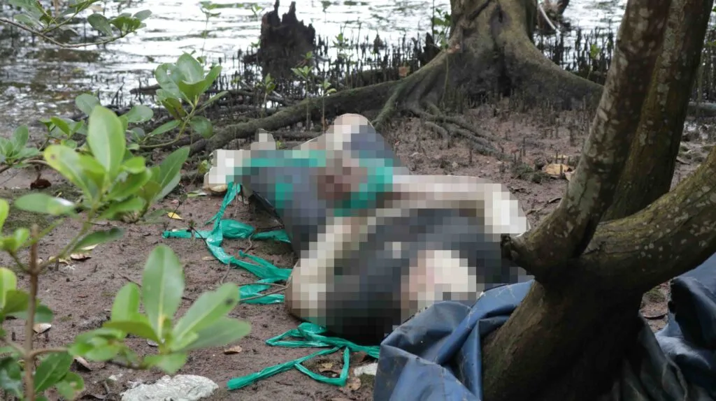 Imagem ilustrativa da imagem Polícia encontra corpo na Baía de Guanabara, em São Gonçalo