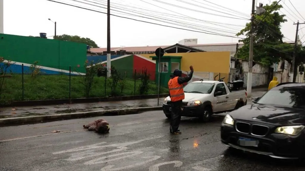 Imagem ilustrativa da imagem Mulher passa mal, cai no meio da via e para trânsito na Zona Sul de Niterói