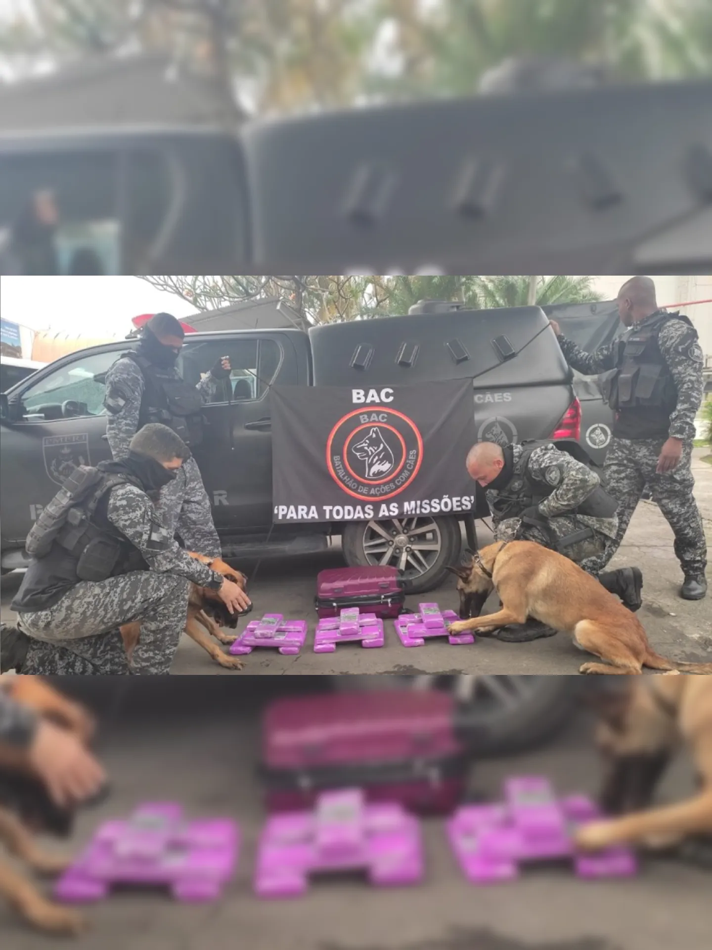 Imagem ilustrativa da imagem Cães encontram drogas na Rodoviária Novo Rio