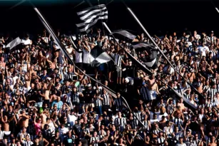 Imagem ilustrativa da imagem Dia de festa: Botafogo enfrenta Guarani com entrega de taça do Brasileirão Série B
