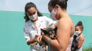 Imagem ilustrativa da imagem Mais de 20 mil cães e gatos são imunizados contra a raiva em Saquarema