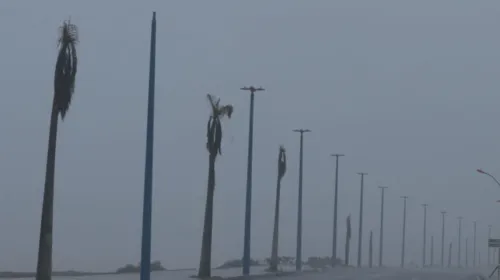 Imagem ilustrativa da imagem Alerta em Maricá: previsão de ventania de até 100 km/h