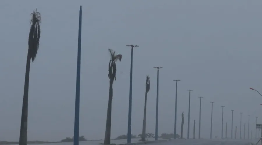Imagem ilustrativa da imagem Alerta em Maricá: previsão de ventania de até 100 km/h