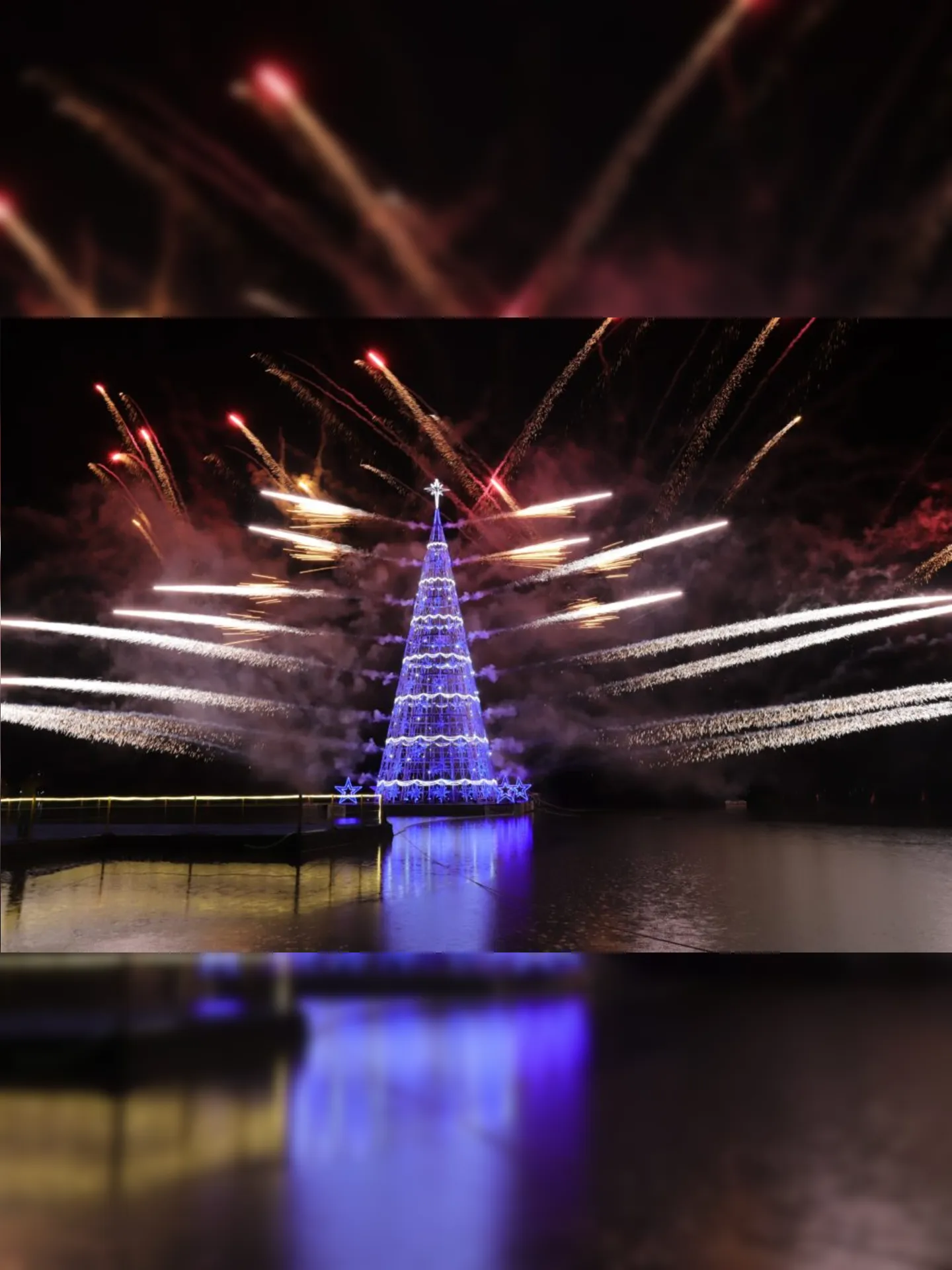 Imagem ilustrativa da imagem Árvore flutuante de Araçatiba ilumina Natal em Maricá