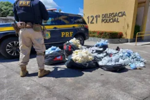 Imagem ilustrativa da imagem Polícia intercepta 120 kg de cocaína na Região dos Lagos
