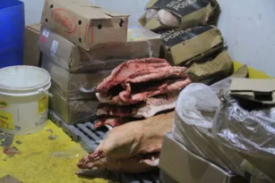 Imagem ilustrativa da imagem Mais de 100 kg de alimentos impróprios em mercado de SG