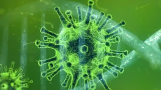 Imagem ilustrativa da imagem Morre primeira pessoa infectada pela variante Ômicron no Reino Unido