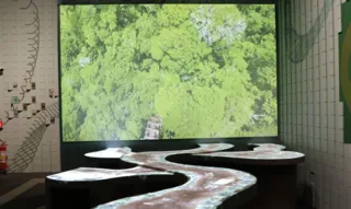 Imagem ilustrativa da imagem Museu do Amanhã apresenta maior bioma tropical do mundo aos seus visitantes