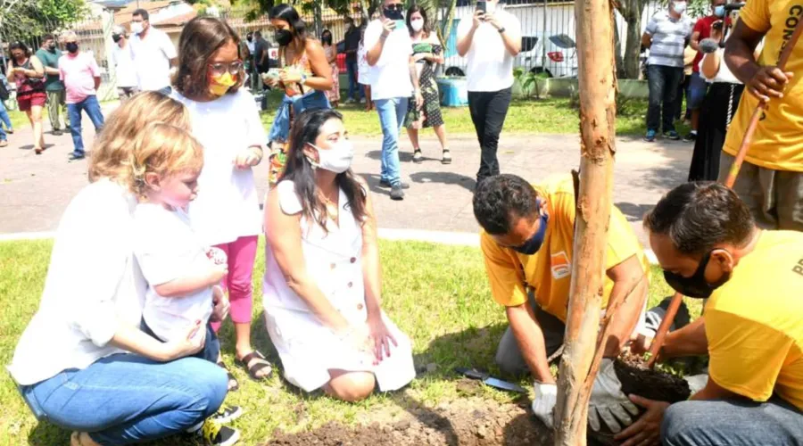 Imagem ilustrativa da imagem Um ano sem Carlos Boechat: árvore é plantada em homenagem ao vereador