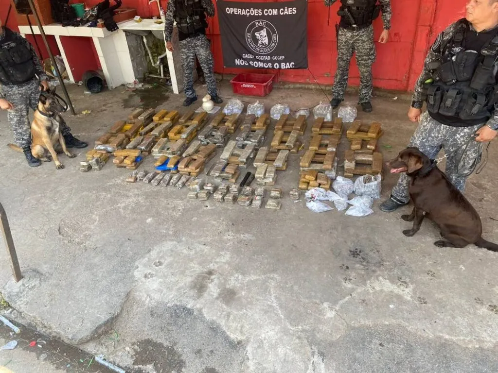 Imagem ilustrativa da imagem PM apreende mais de 300 quilos de drogas no Jacarezinho