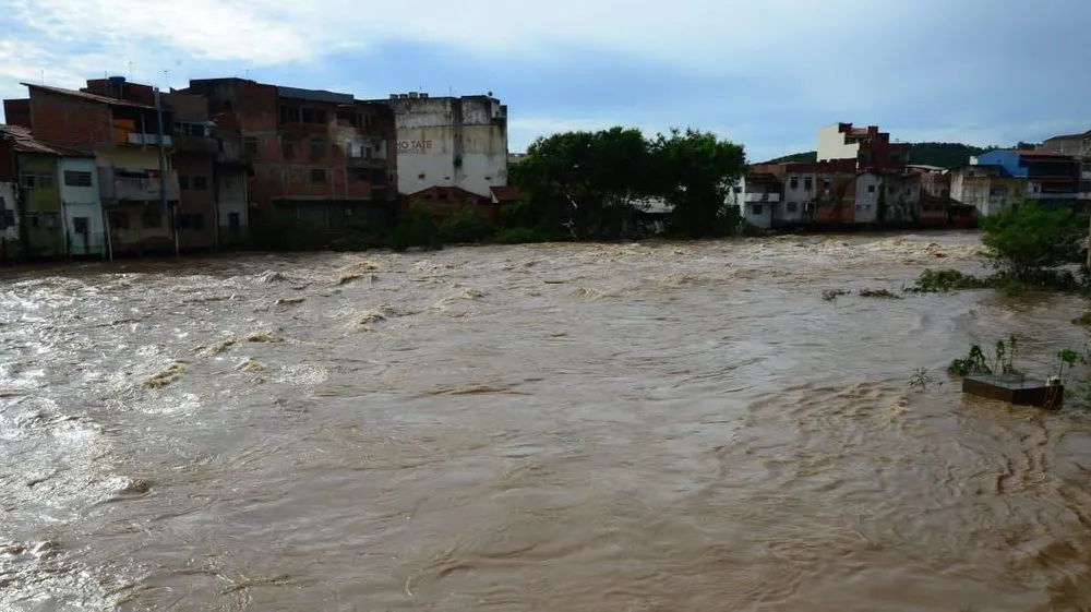 Imagem ilustrativa da imagem Chuva segue causando mortes e estragos em Minas Gerais