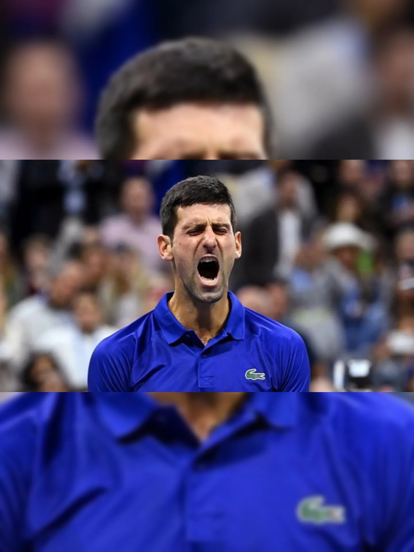 Imagem ilustrativa da imagem Djokovic irá disputar o Australian Open com ''autorização especial''; entenda
