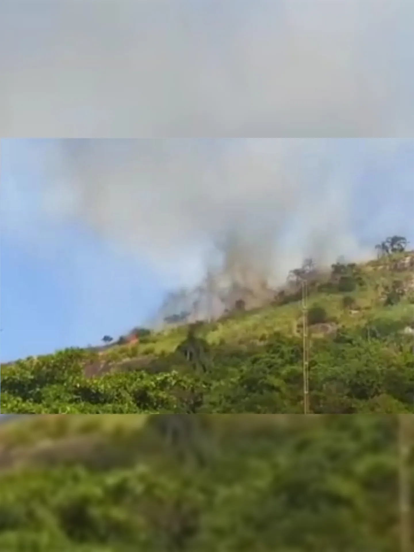 Imagem ilustrativa da imagem Incêndio em vegetação assusta moradores da Região Oceânica de Niterói