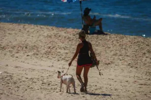 Imagem ilustrativa da imagem Alerta para os sinais dos pets nos dias de calor. Saiba o que fazer