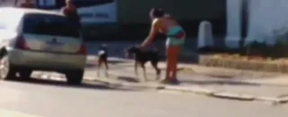 Imagem ilustrativa da imagem Flagrante: cães são abandonados em via pública no Rio