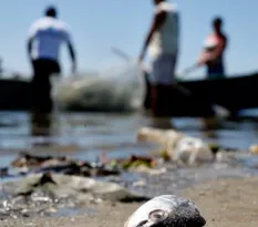 Imagem ilustrativa da imagem Cultura da pesca artesanal de mexilhões preservada em Niterói