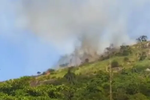 Imagem ilustrativa da imagem Incêndio em vegetação assusta moradores da Região Oceânica de Niterói