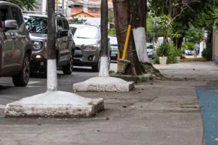 Imagem ilustrativa da imagem Árvores recebem cimento em vez de cuidados na Zona Sul de Niterói