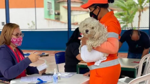 Imagem ilustrativa da imagem Prefeitura de Maricá prorroga recadastramento de protetores de animais