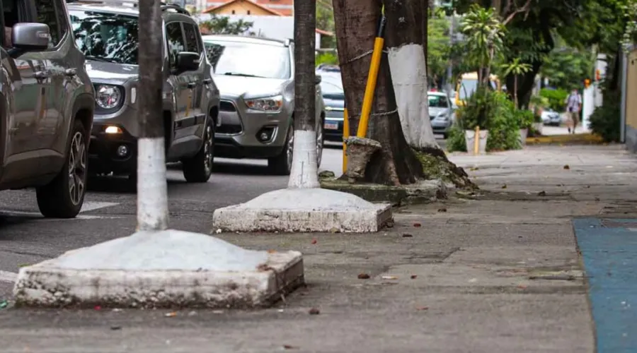 Imagem ilustrativa da imagem Árvores recebem cimento em vez de cuidados na Zona Sul de Niterói