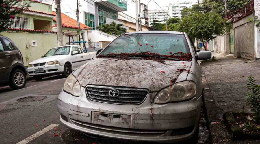 Imagem ilustrativa da imagem Abandono de carros intriga moradores de bairro da Zona Sul de Niterói
