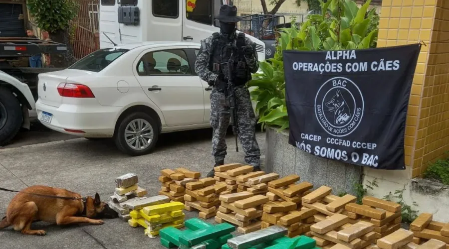 Imagem ilustrativa da imagem Prejuízo milionário para o tráfico no Jacarezinho, no Rio